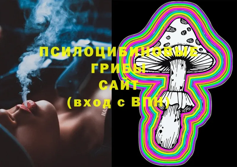 Псилоцибиновые грибы Magic Shrooms  Жиздра 